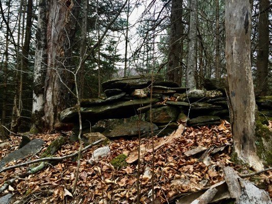 An old stone wall in the Marshfield town forest