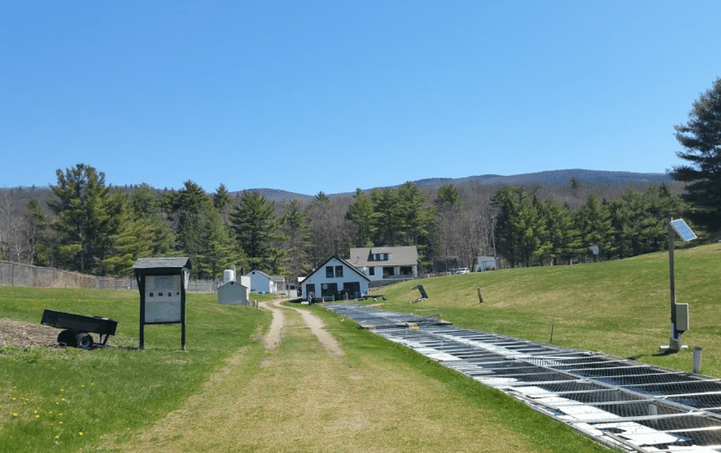 Salisbury fish hatchery Archives VTDigger
