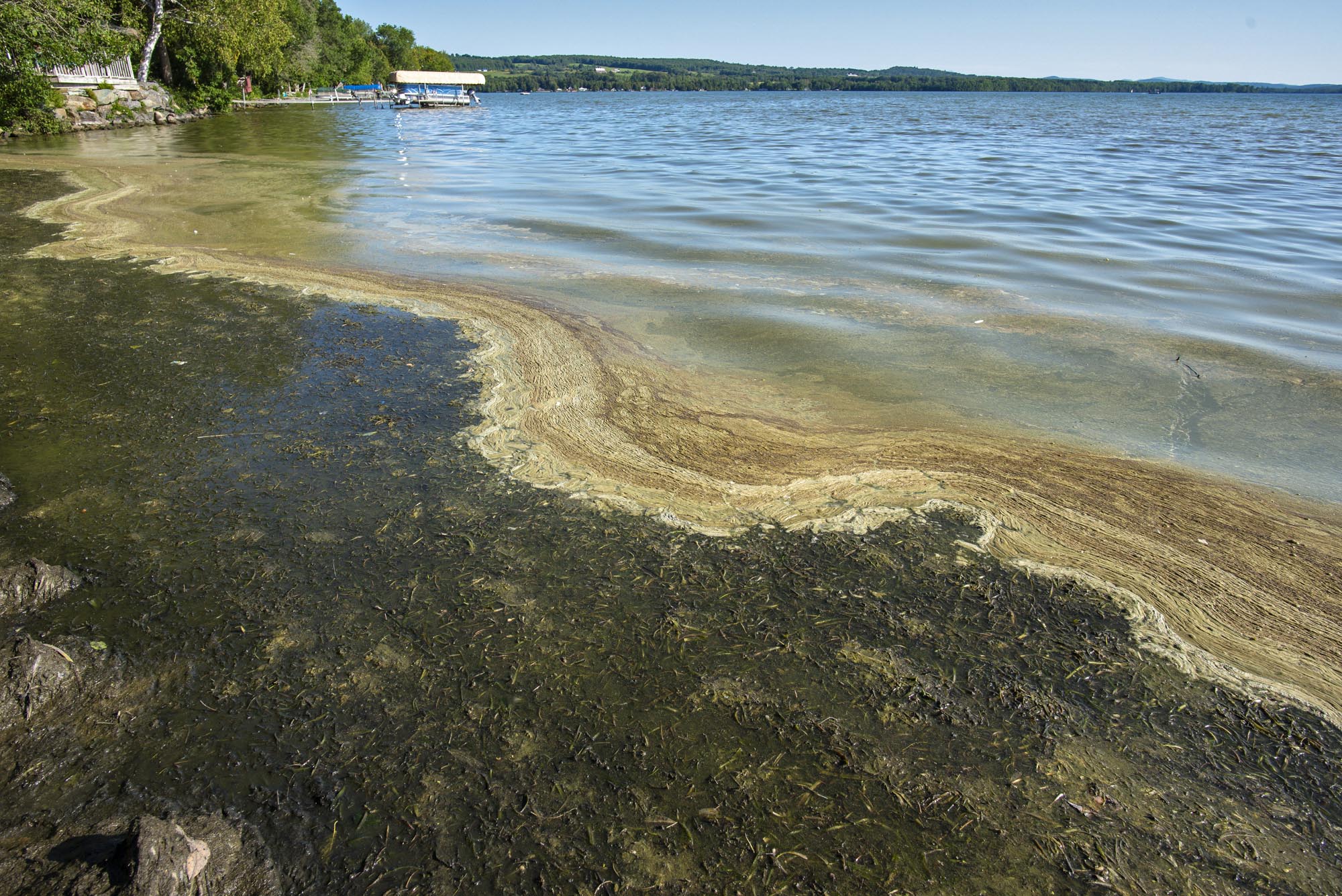 Lake Carmi shoreline