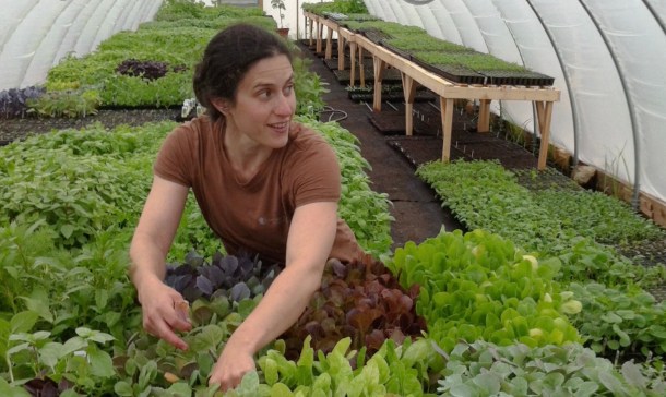 Center for Vermont Research