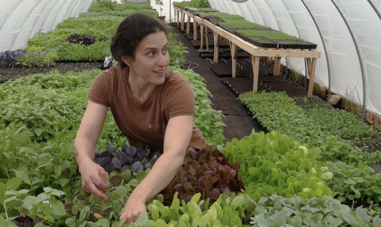 Center for Vermont Research