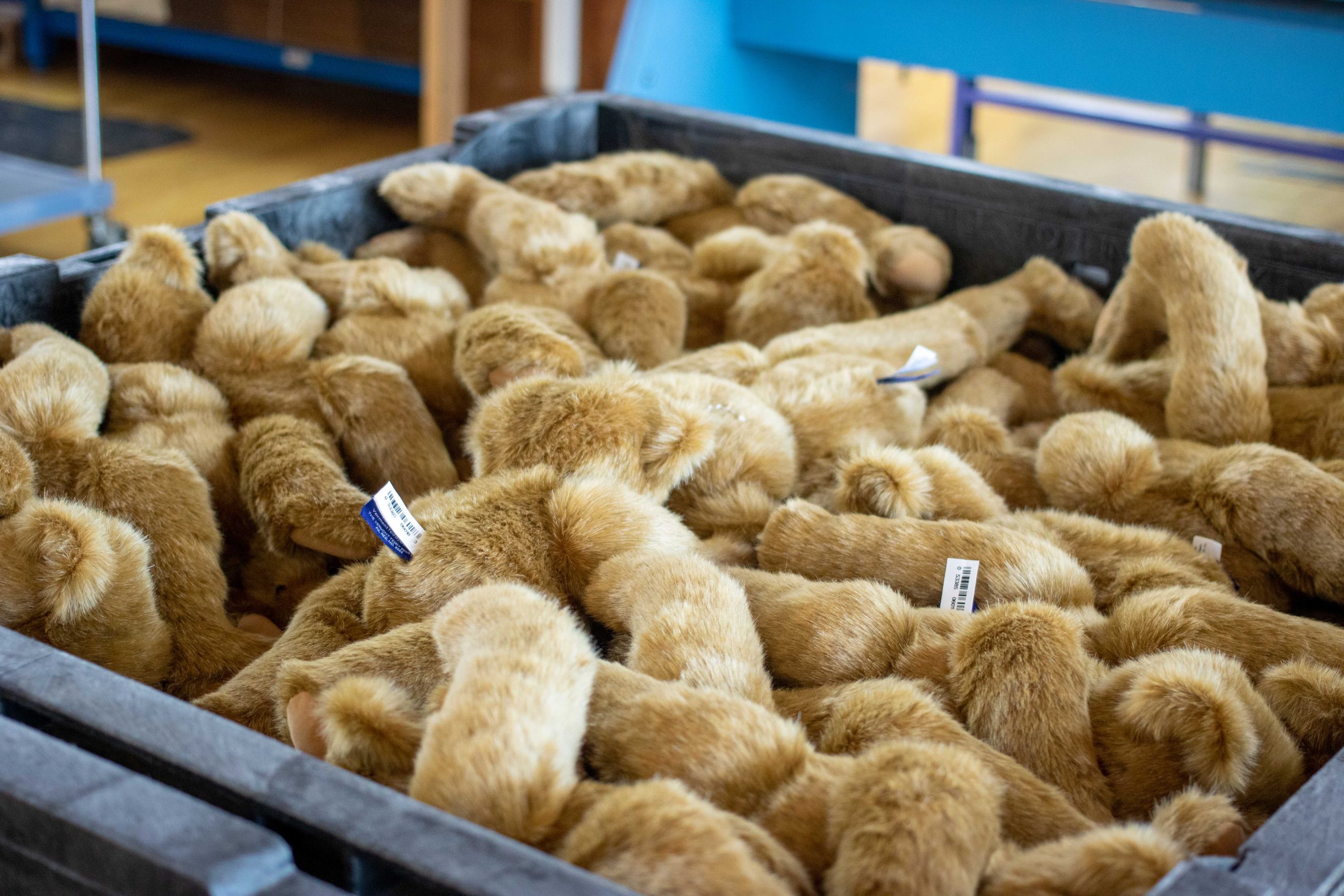 bin of loose teddy bears