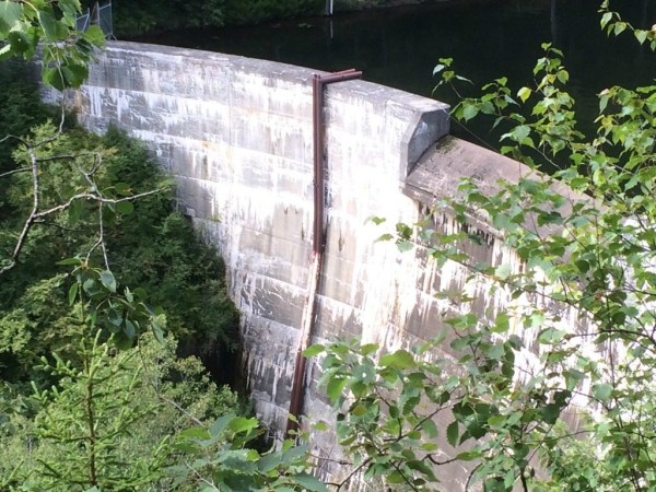 Concrete dam surrounded by foliage with water retention on one side.