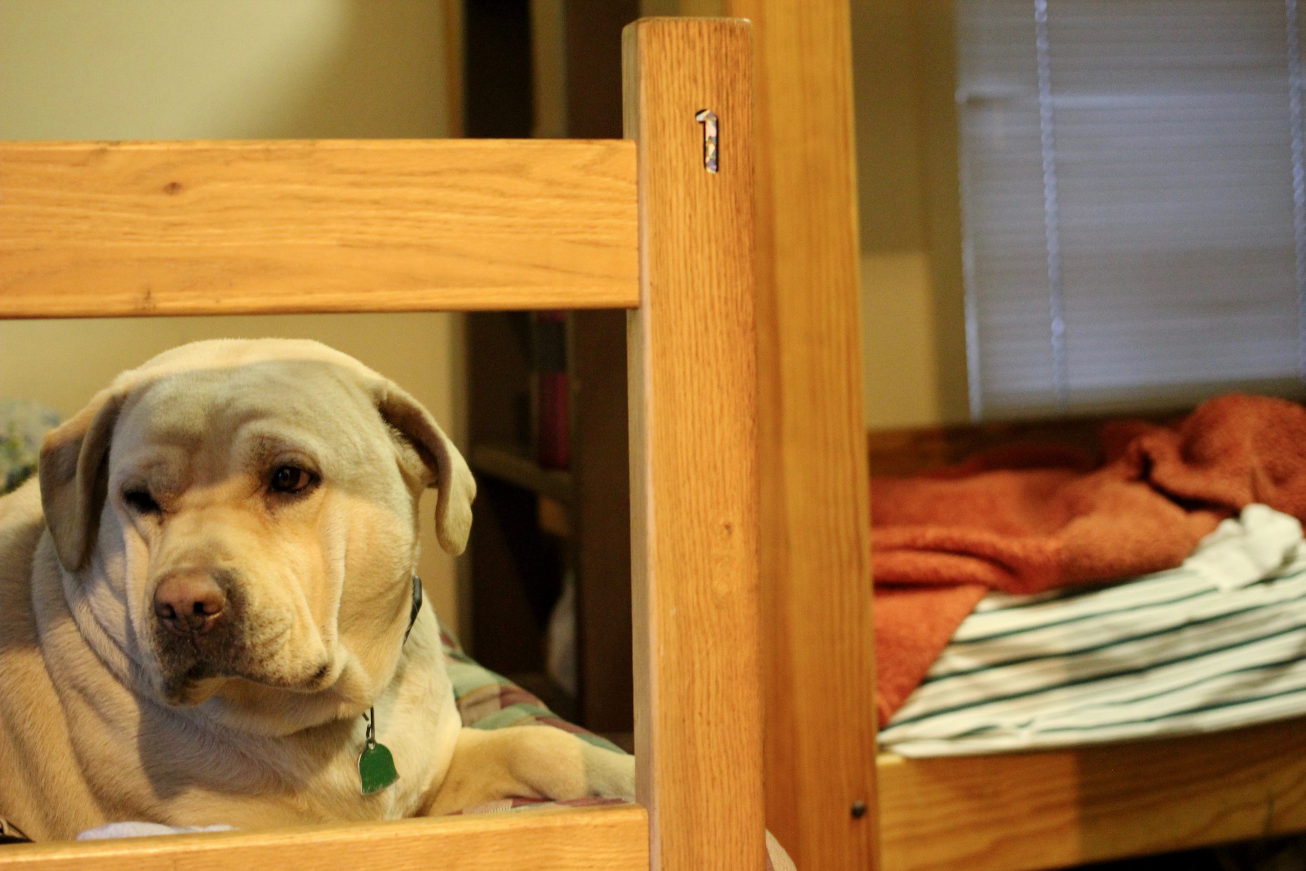 Vermont's homeless population is declining, but the shelters are full