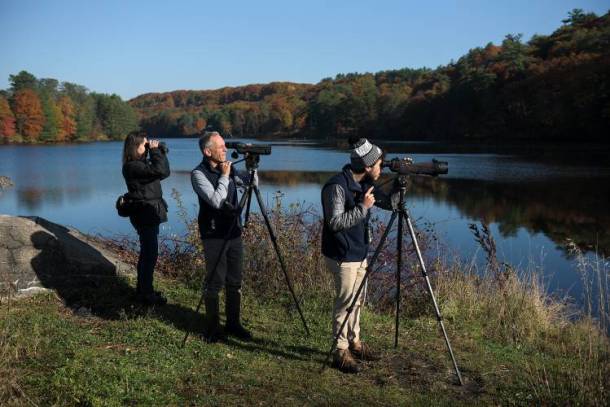 Birders peer through binoculars in front of lake