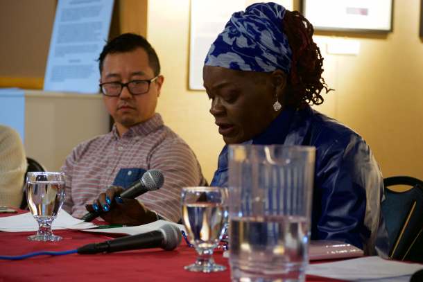 The Root panel St. Johnsbury