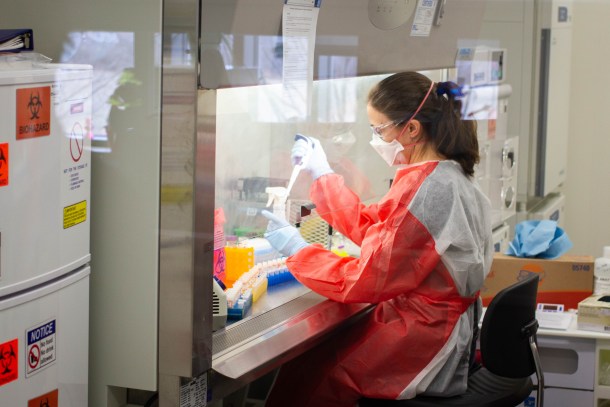 microbiologist testing for coronavirus