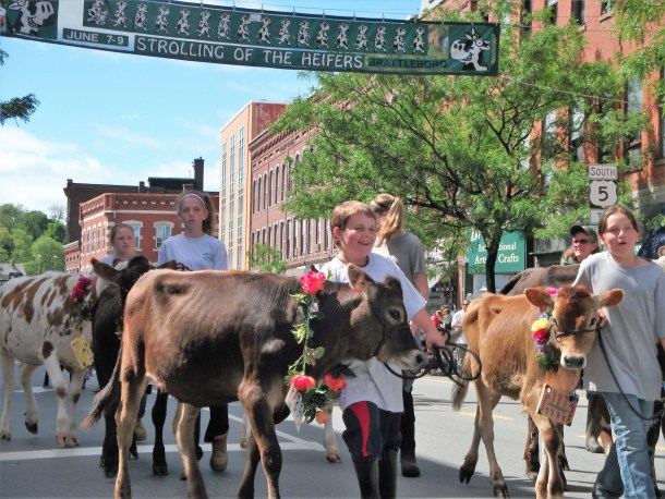 Strolling of the Heifers 