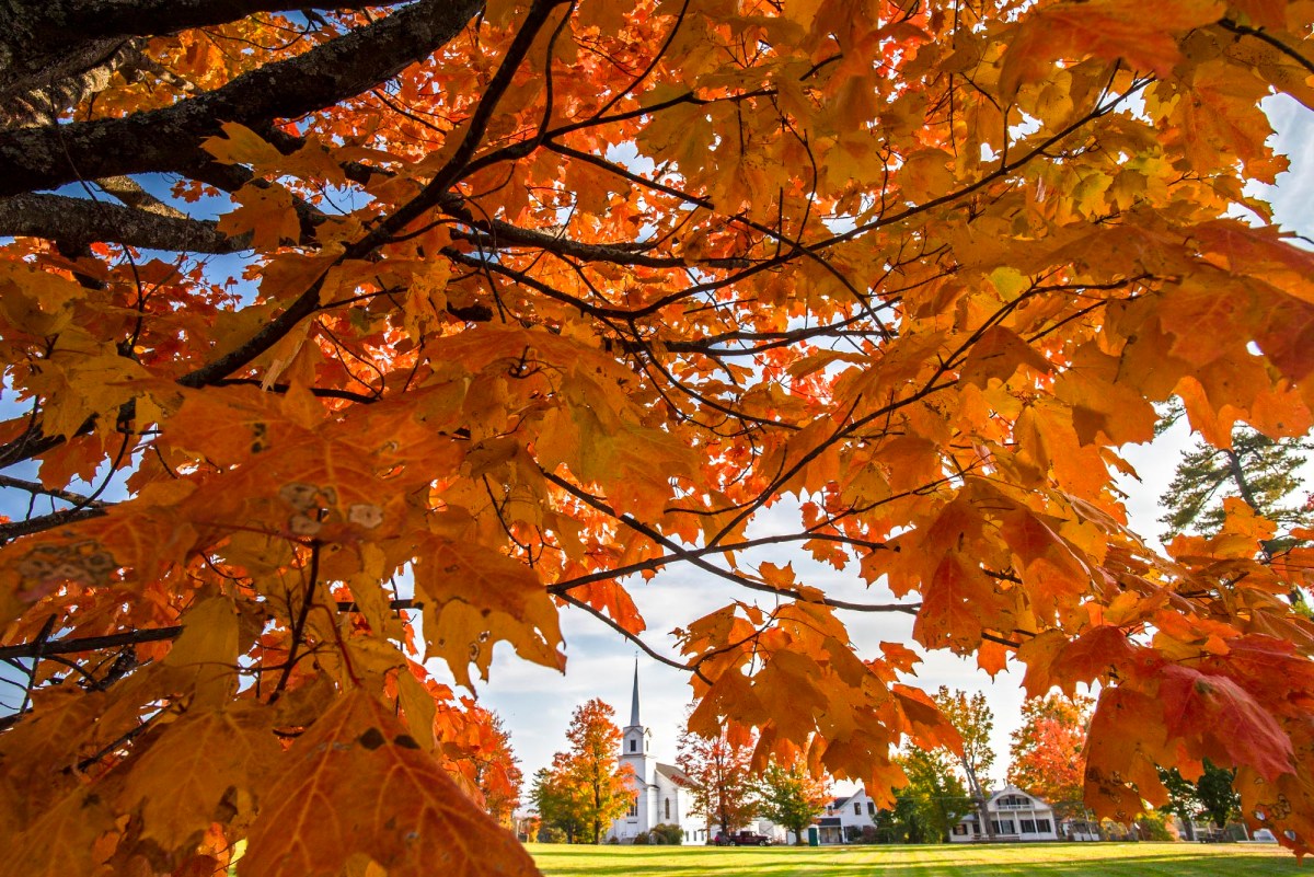 Autumn leaves in vibrant orange and yellow shades frame a distant white steeple and building, set against a clear blue sky.