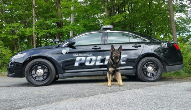 Hardwick police cruiser