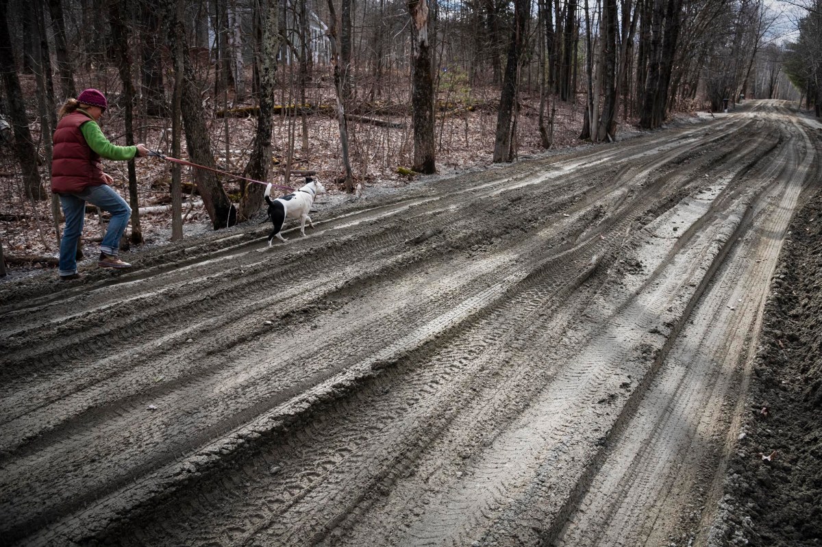 Person walking a dog on a muddy dirt road surrounded by leafless trees. The person wears a red vest and a pink hat.