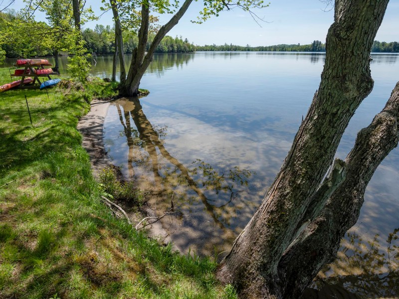 A serene lakeside view with clear water, tree reflections, and several red canoes stacked on the grassy shore.