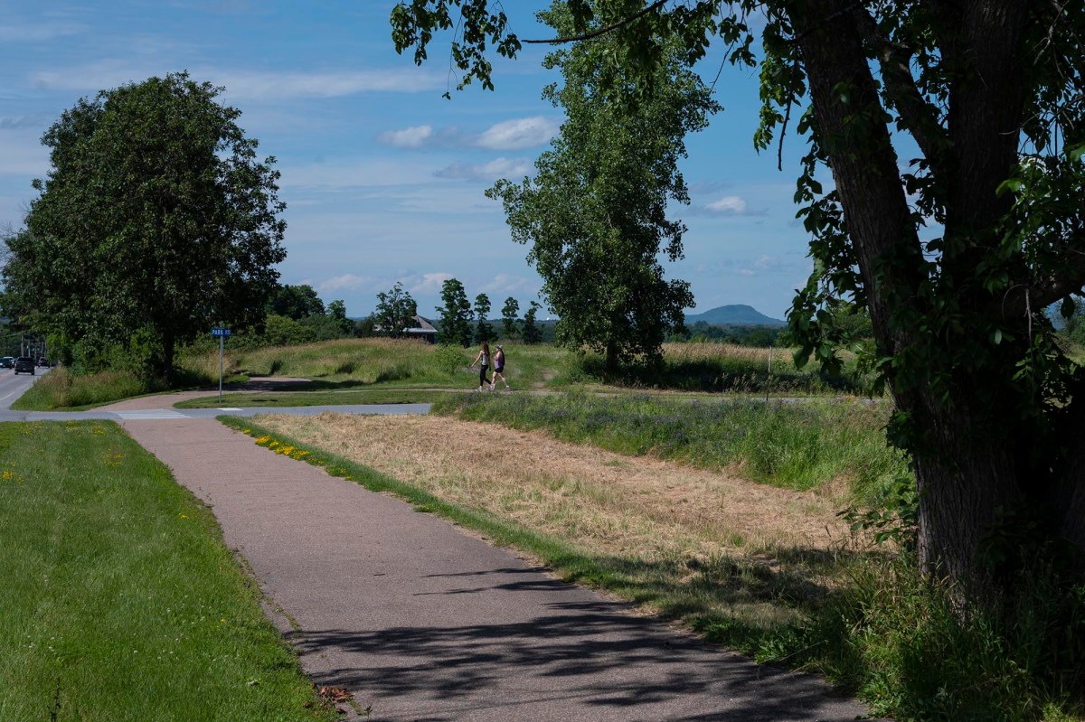 A paved path curves through a grassy park with trees and people walking in the distance under a blue sky with clouds.