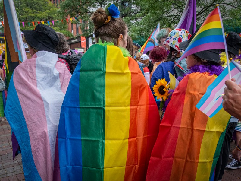 People at an outdoor event wear pride and transgender flags as capes, surrounded by others holding rainbow and transgender flags.
