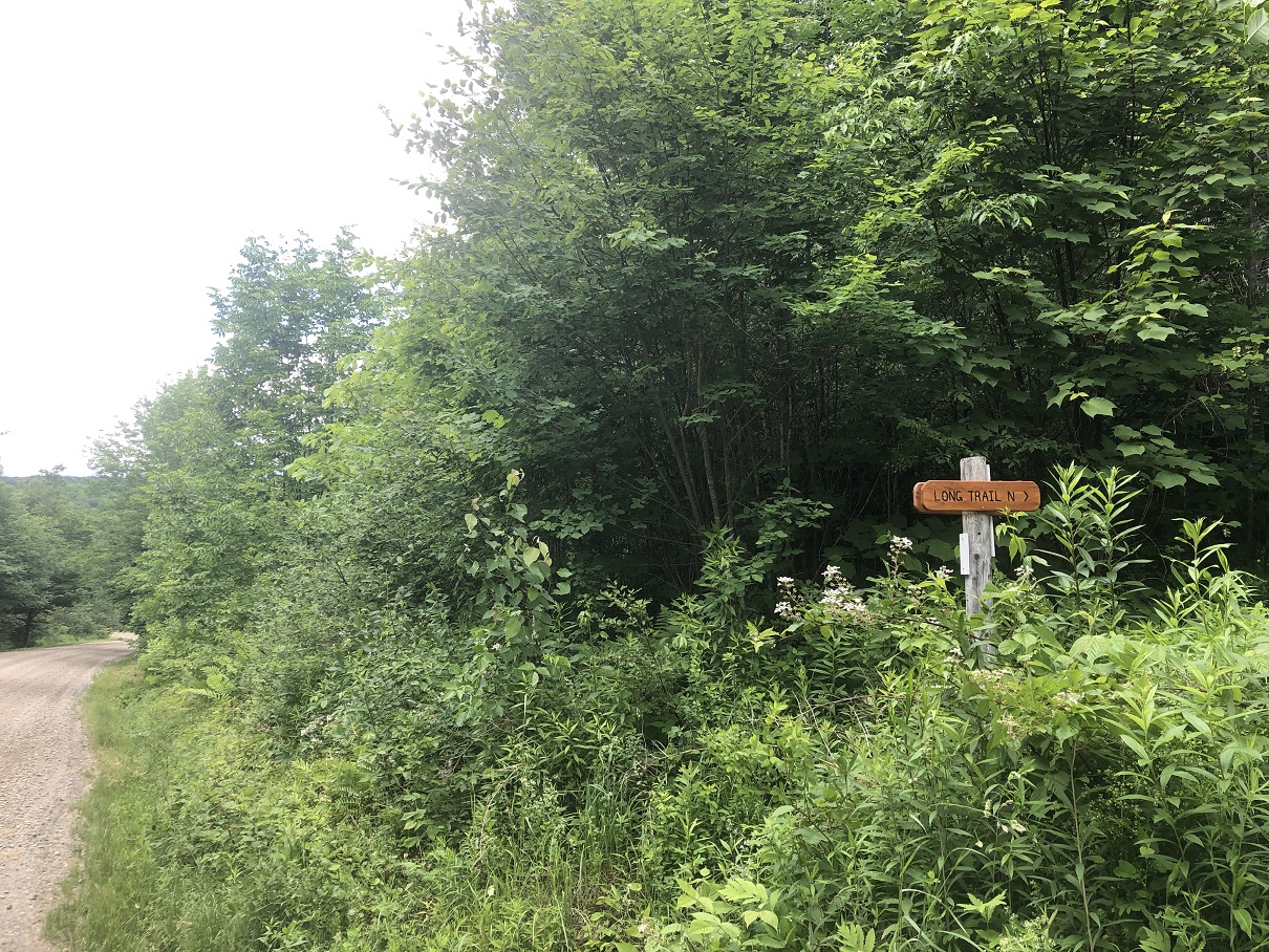 Conservation partners secure further protection of the Long Trail and surrounding corridor - Vimarsana News
