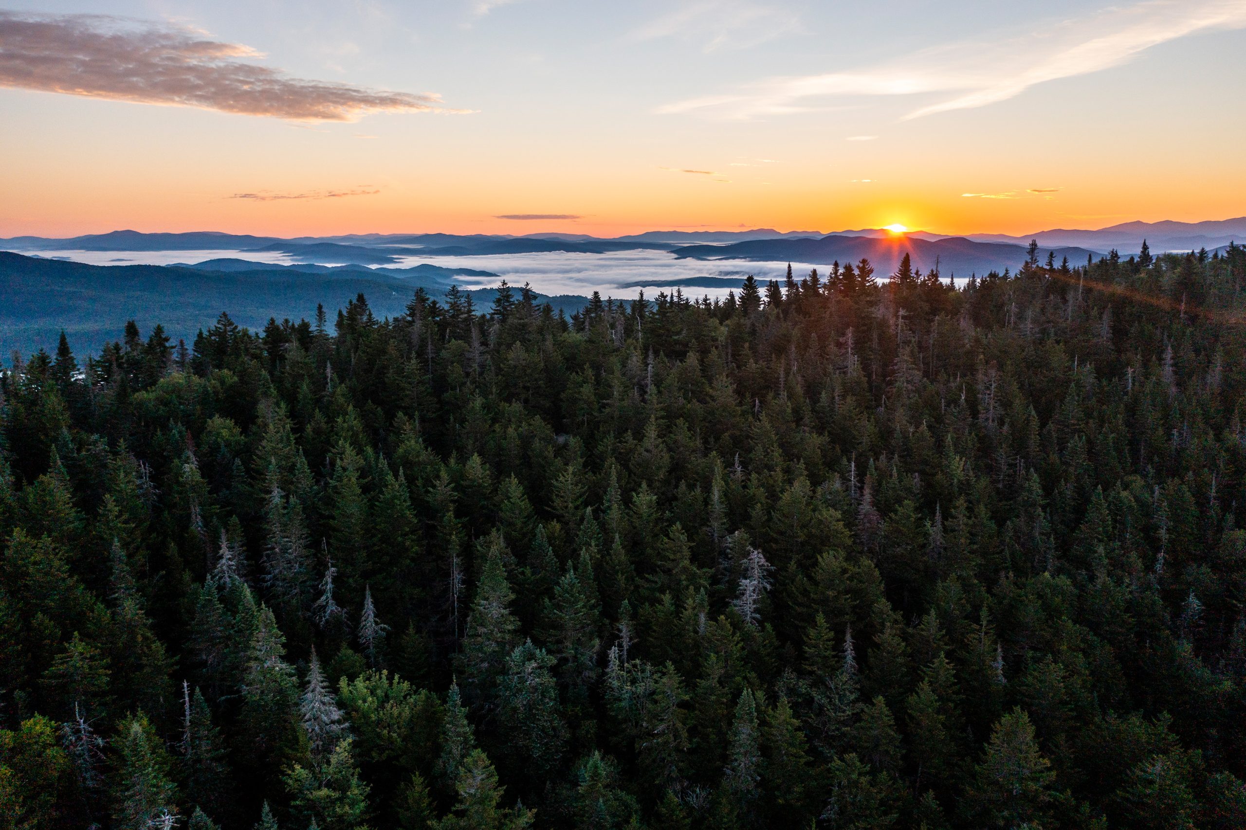 Northeast Wilderness Trust establishes the Blue Mountain Wilderness Sanctuary in Ryegate, Vermont - Vimarsana News