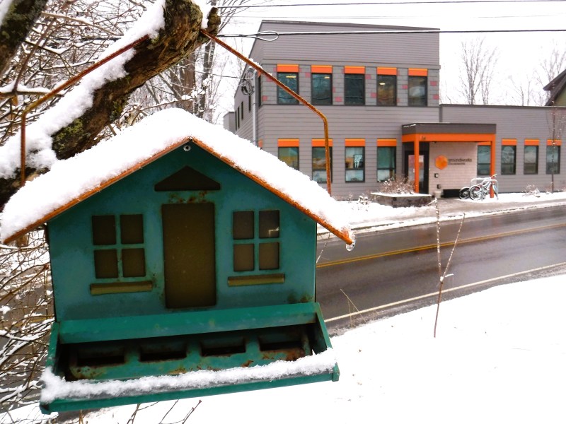 A birdhouse in foreground with a building behind.