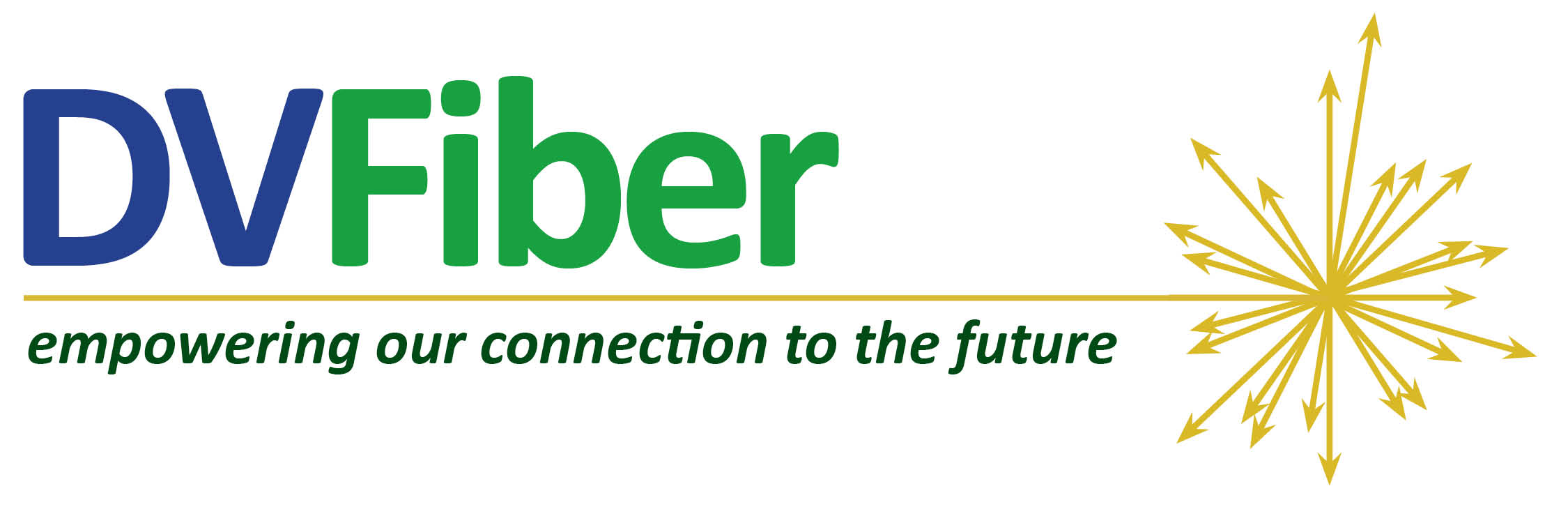DVFiber connects first customers - Vimarsana News