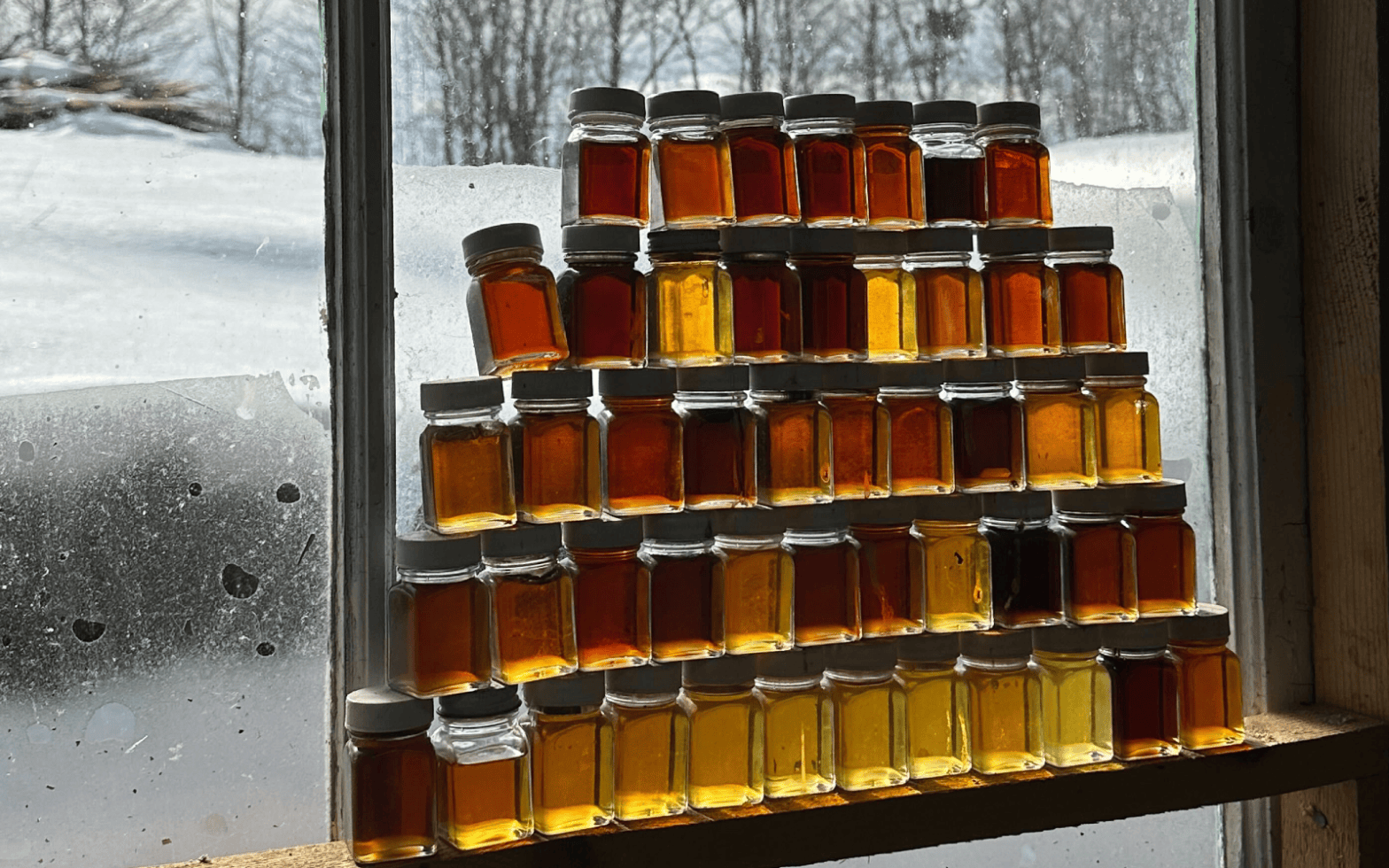 Resilience and madness: Warm spell sends maple sugarmakers into action ...