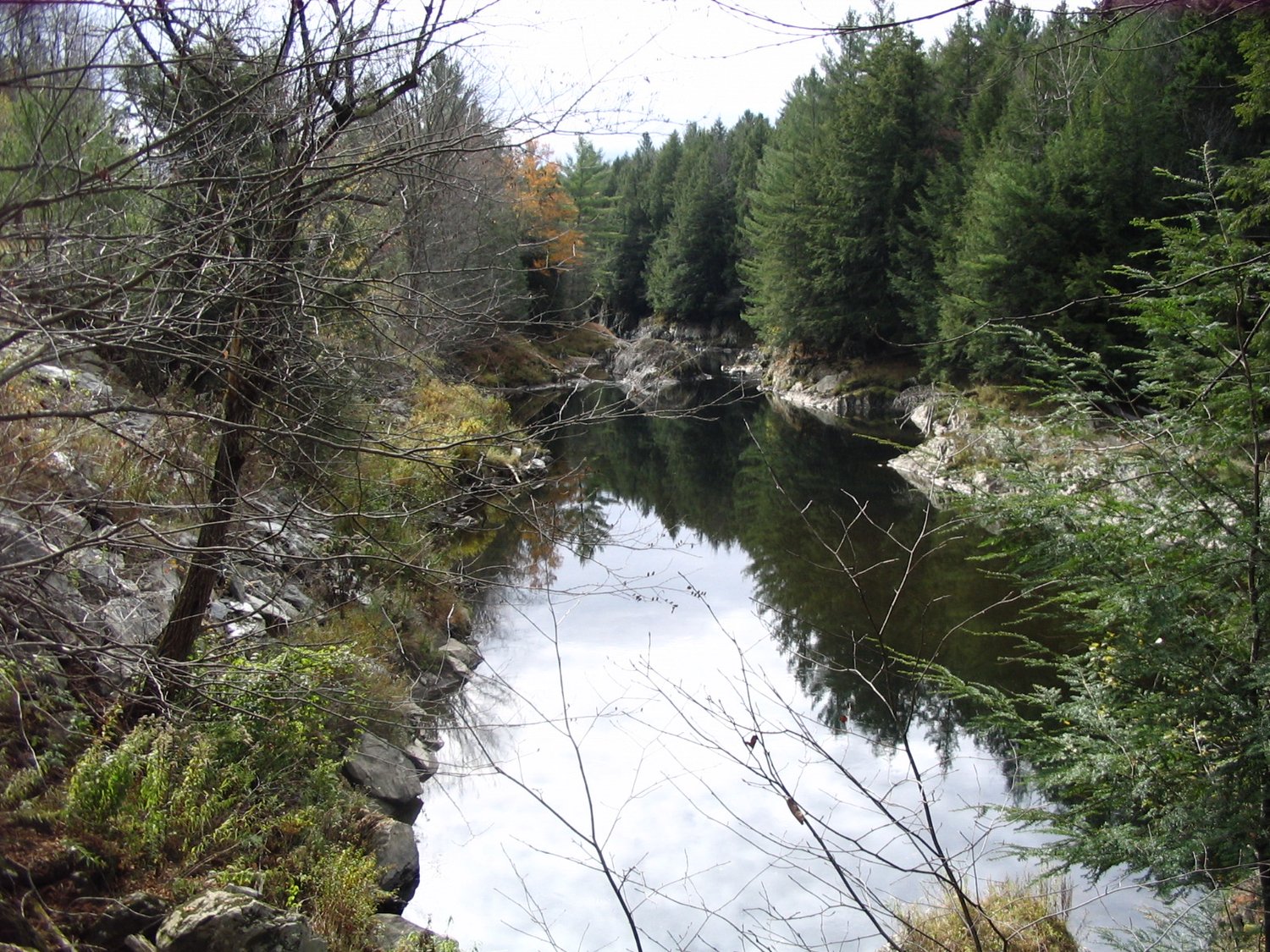 'They did not call me': High amount of E.coli detected in the Missisquoi River, but lab didn't say so for weeks, plant operator says - Vimarsana News