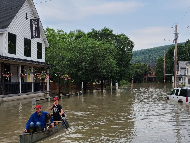 two people in a canoe on a flooded street.