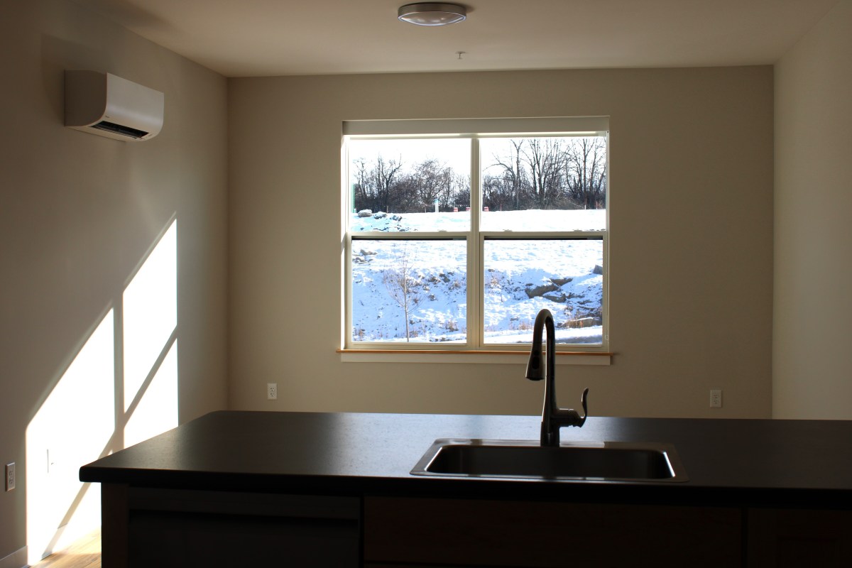 A kitchen with a sink and a window.