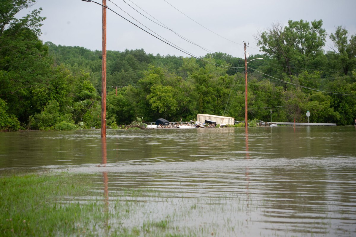 a flooded road with trees and power lines.