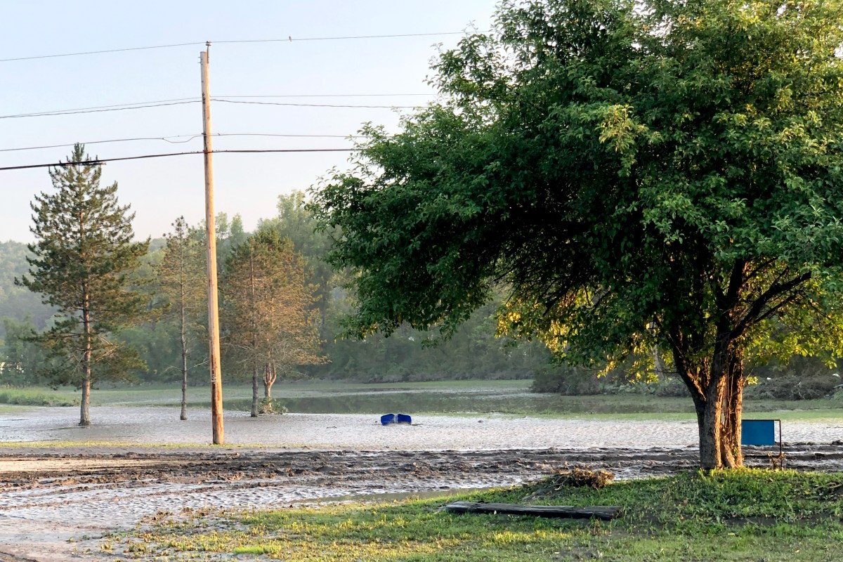 a muddy road surrounded by trees and power lines.