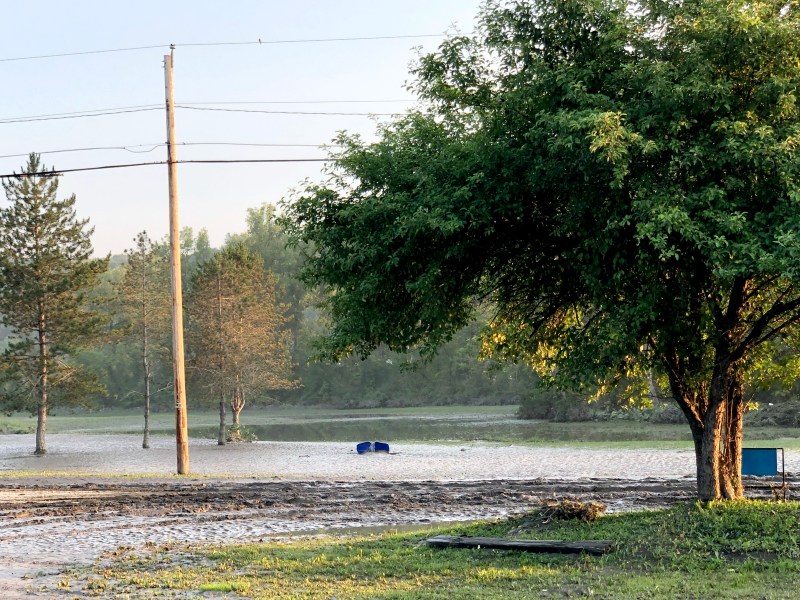 a muddy road surrounded by trees and power lines.