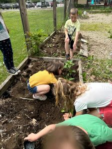 children work in a garden.