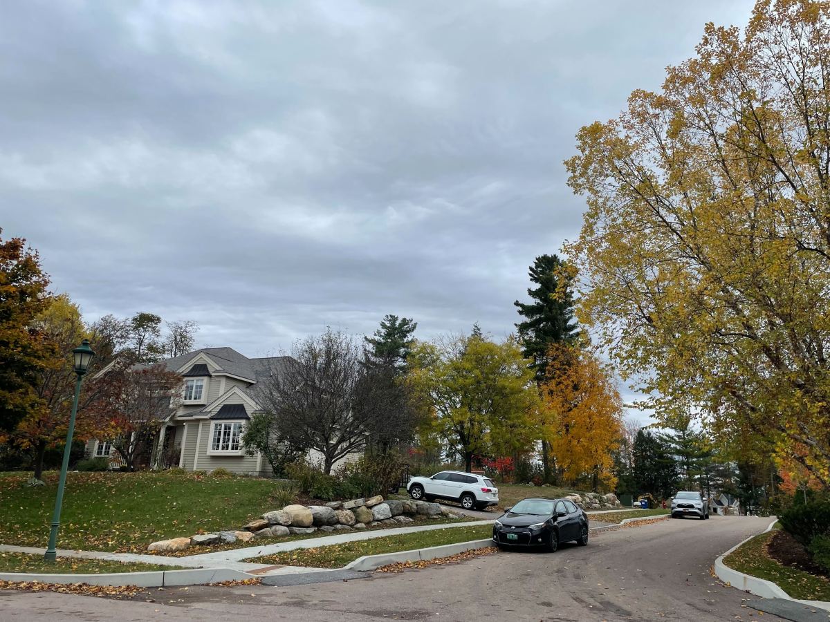 A street with houses and trees in the fall.