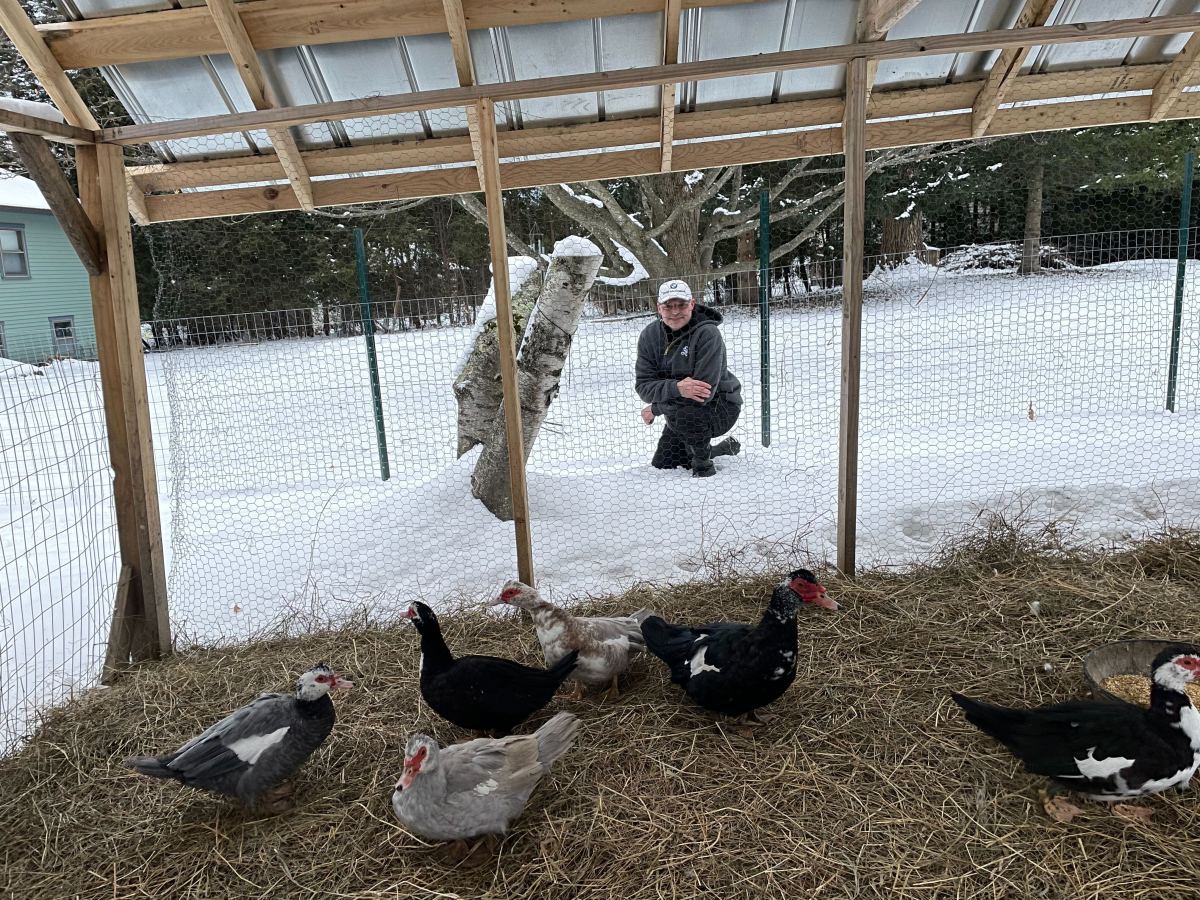 A man is standing next to a flock of ducks in the snow.