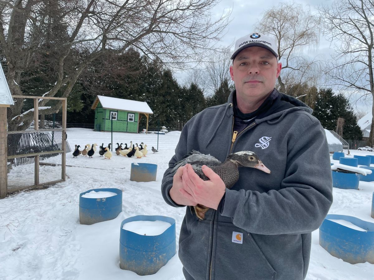 A man holding a duck in the snow.