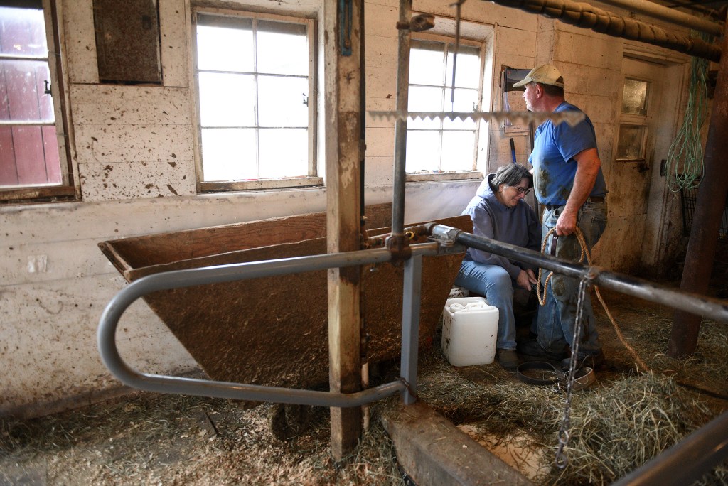 Two farmers, one male and one female, interacting in a barn with tools and buckets beside them, near a feeding trough and windows.
