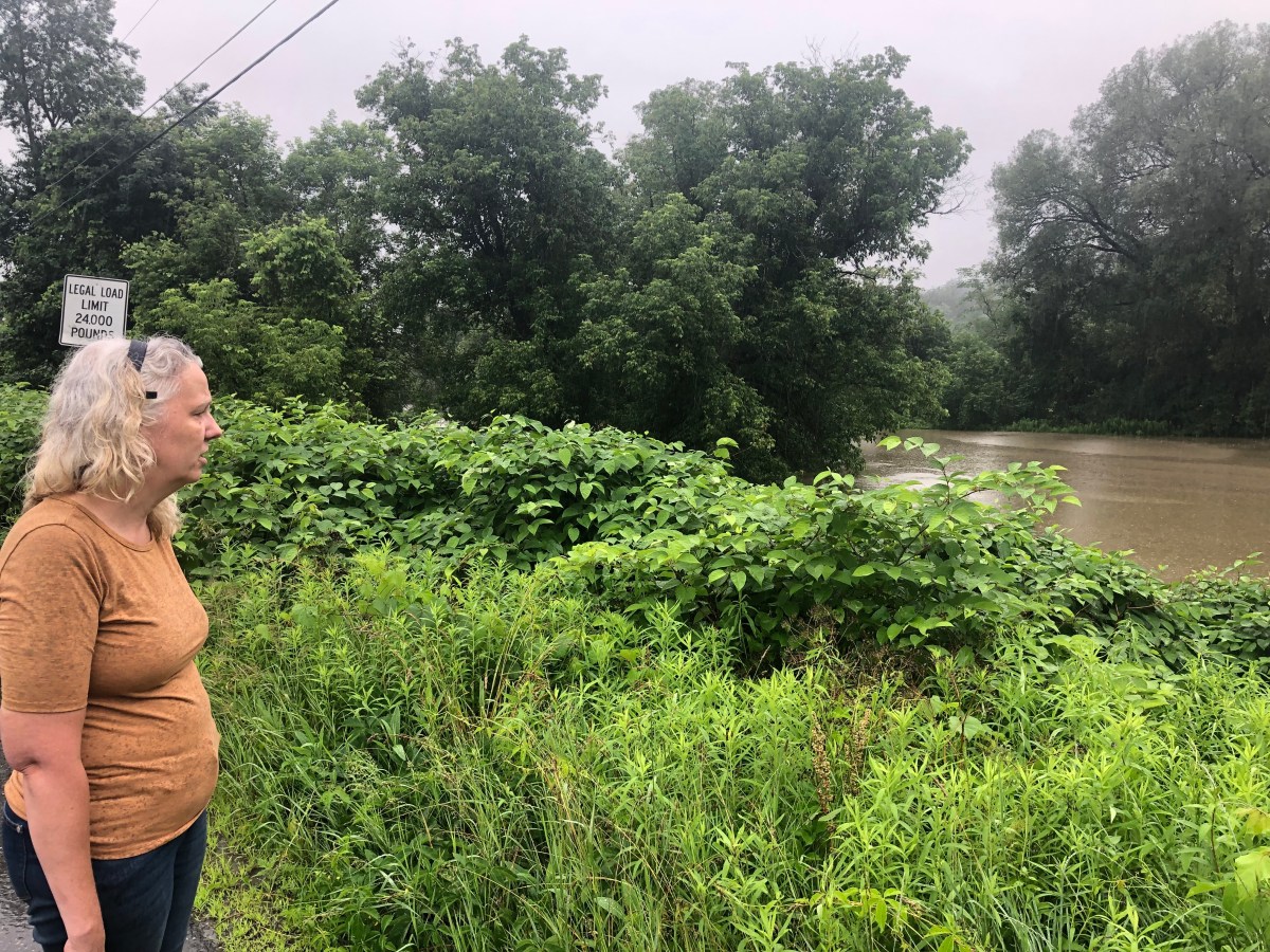 Nicole Daniels watches the Winooski River flood