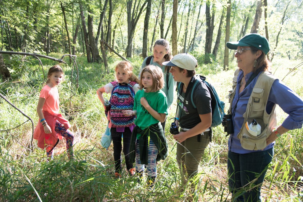 A group of children and adults exploring a forest, with one adult pointing at something off-camera while others look on attentively.