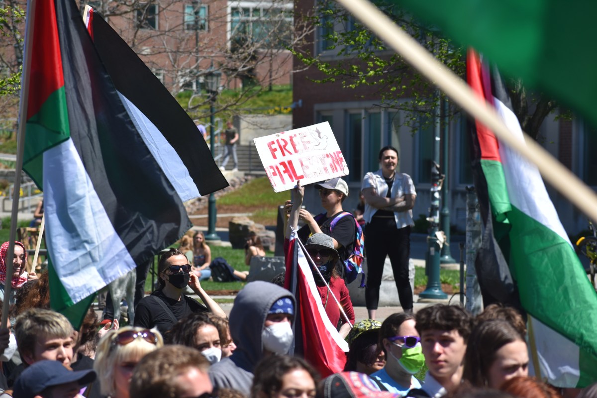 A group of demonstrators holding flags and signs at a rally.