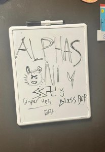 A white board with various words and drawings on it, including "alphas only" and a swastika.