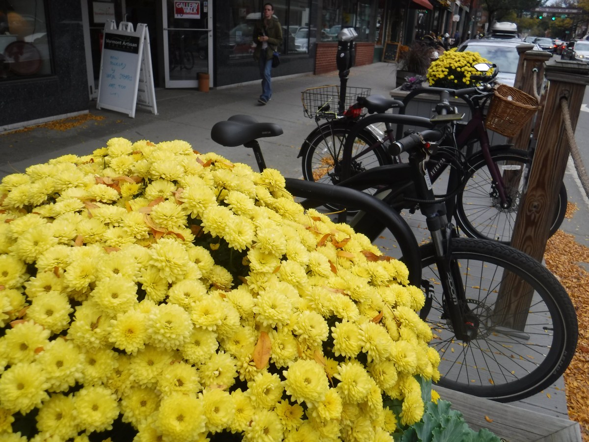 Yellow chrysanthemums and bicycles parked on a sidewalk.
