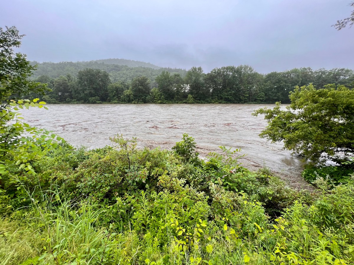 a river with a lot of water and trees in the background.