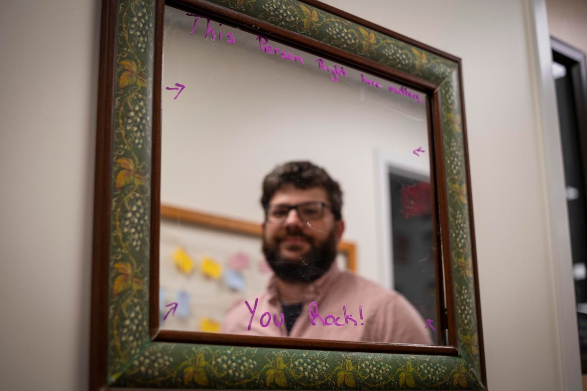 A man with a beard in front of a mirror.