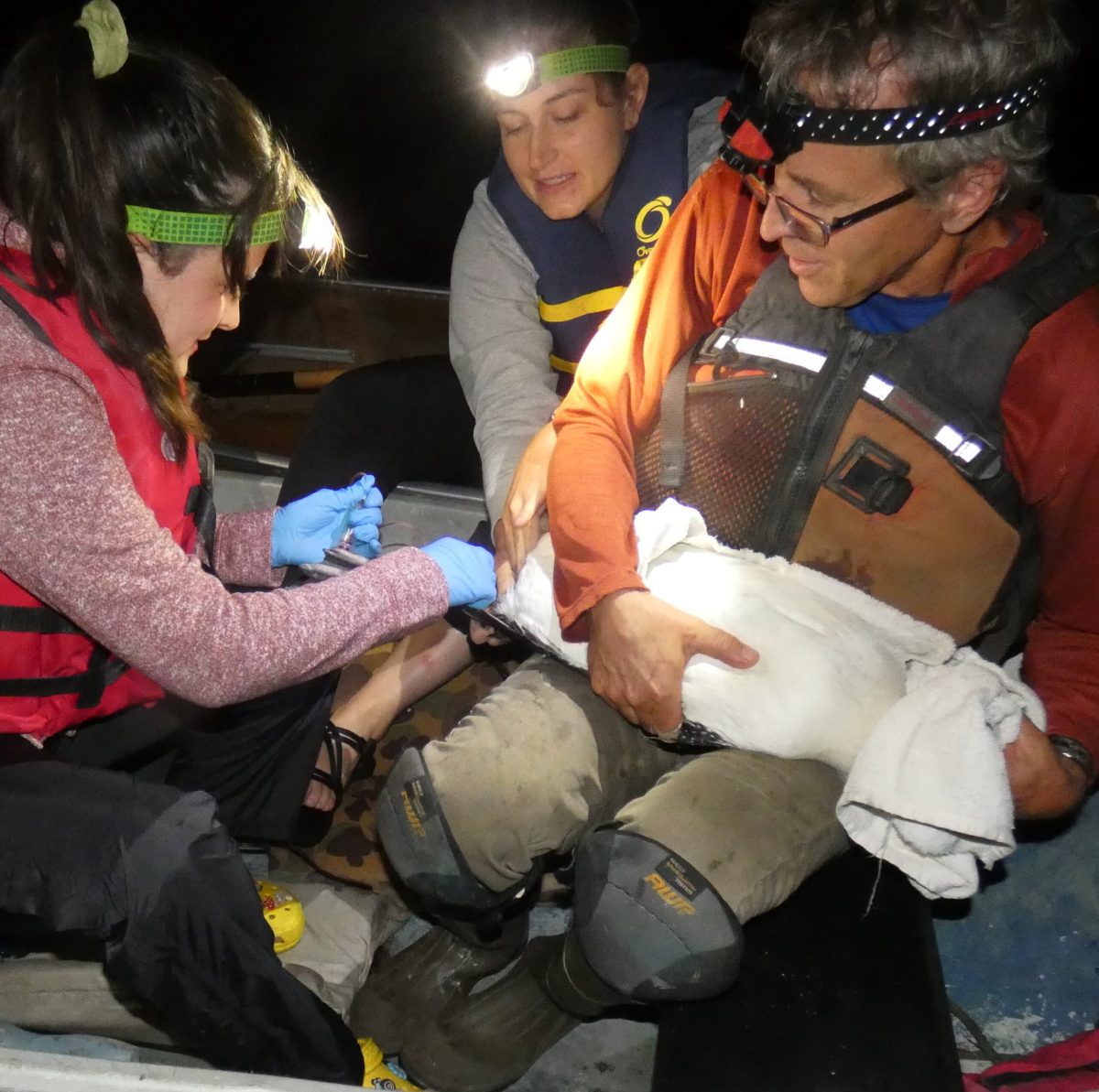 a group of people in a boat holding a bird.