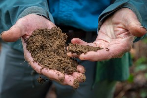 a man holding a handful of dirt in his hands.