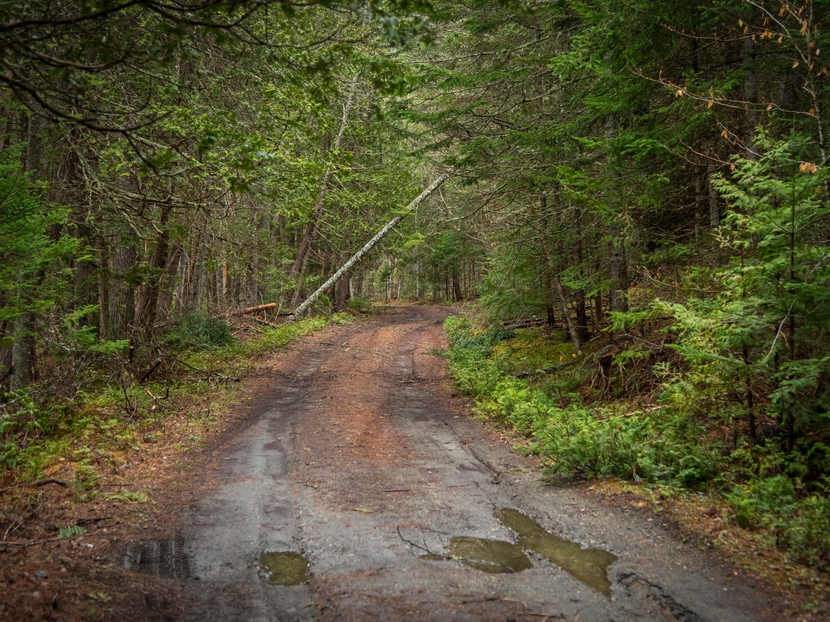 For Vermont cell users, breaking up is easy to do