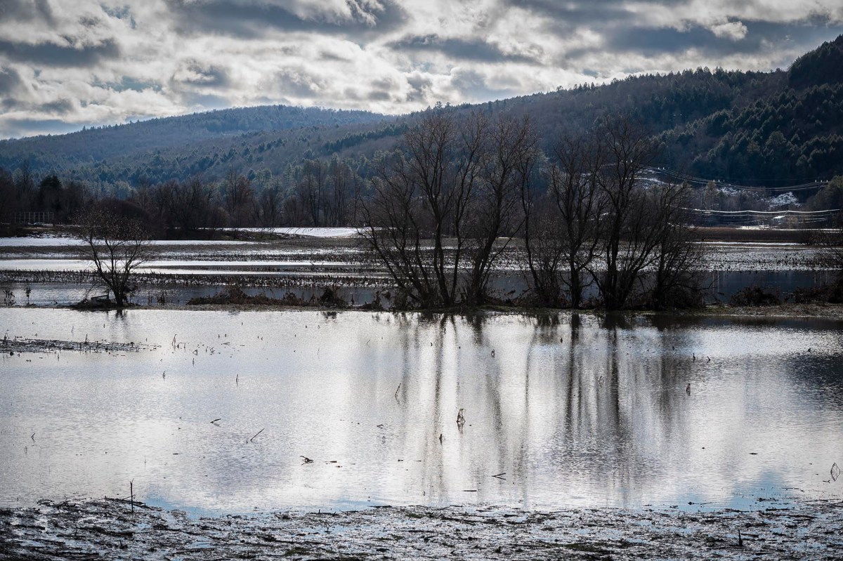 A flooded field with trees and mountains in the background.