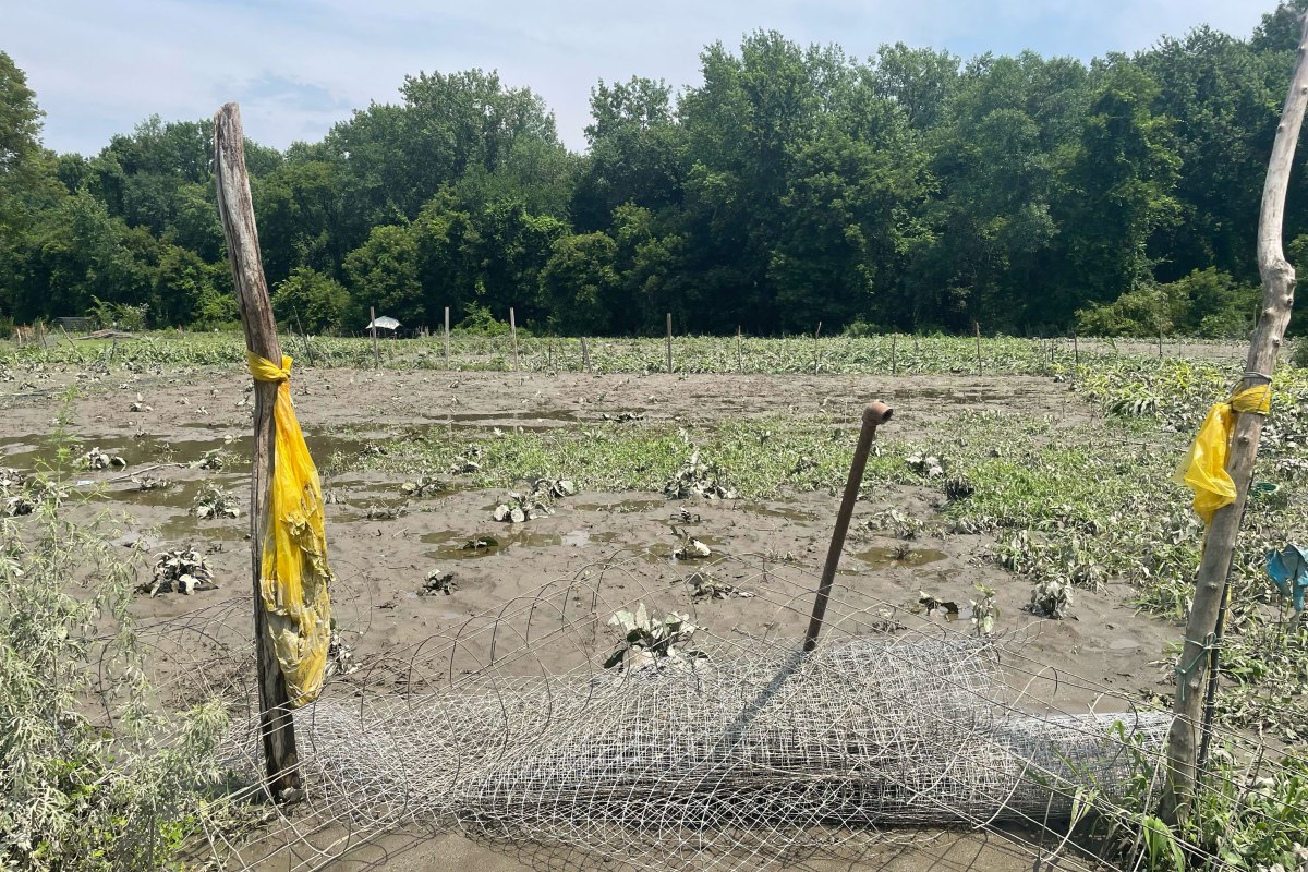 a muddy field with a rolled-up fence in the middle of it.