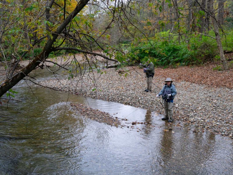 Two people standing in a stream.