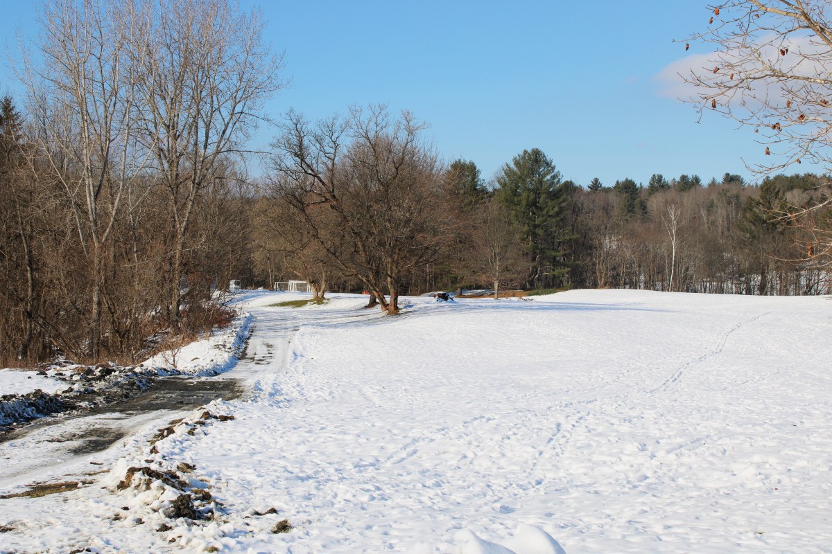 The ground is covered in snow.