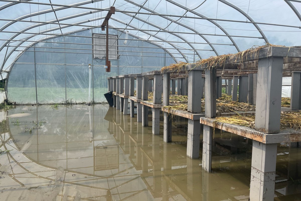 the inside of a greenhouse with a lot of water in it.