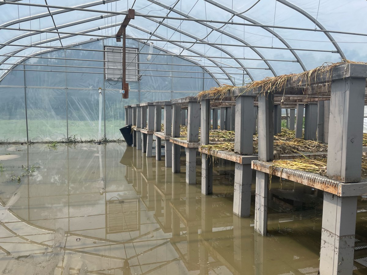 Feds approve $31.7 million in disaster aid for flood-hit Vermont farmers